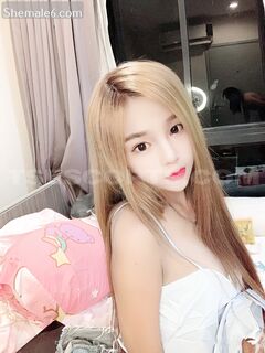 Ts Escort From Thailand 26