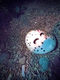 Jason Halloween 5